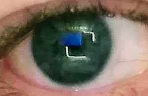 Personal collage image 4